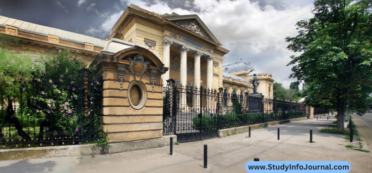 University of Medicine and Pharmacy Carol Davila Bucharest